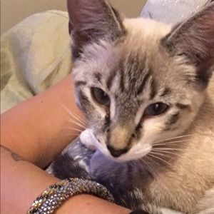 Meet your Posher, Alex